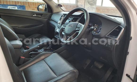 Acheter Occasion Voiture Hyundai Tucson Blanc à Beitbridge, Matabeleland South Acheter Occasion Voiture Hyundai Tucson Blanc à Beitbridge, Matabeleland South