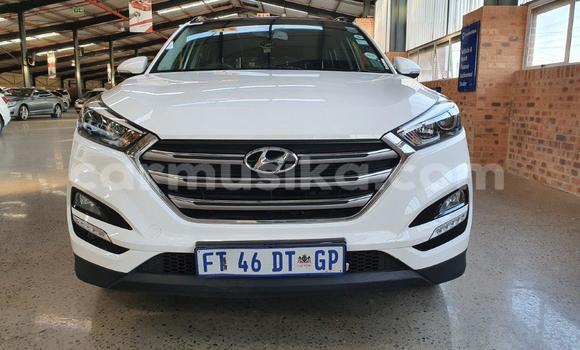 Acheter Occasion Voiture Hyundai Tucson Blanc à Beitbridge, Matabeleland South Acheter Occasion Voiture Hyundai Tucson Blanc à Beitbridge, Matabeleland South