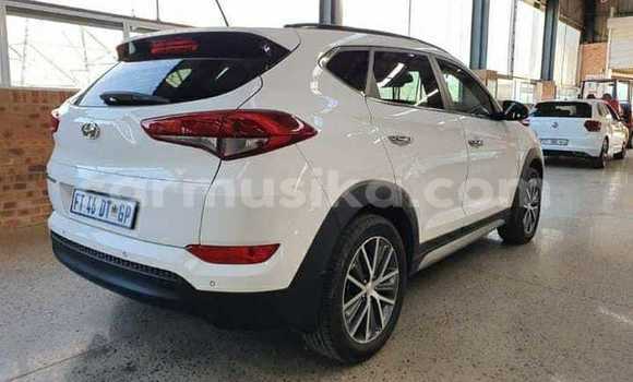 Acheter Occasion Voiture Hyundai Tucson Blanc à Beitbridge, Matabeleland South Acheter Occasion Voiture Hyundai Tucson Blanc à Beitbridge, Matabeleland South