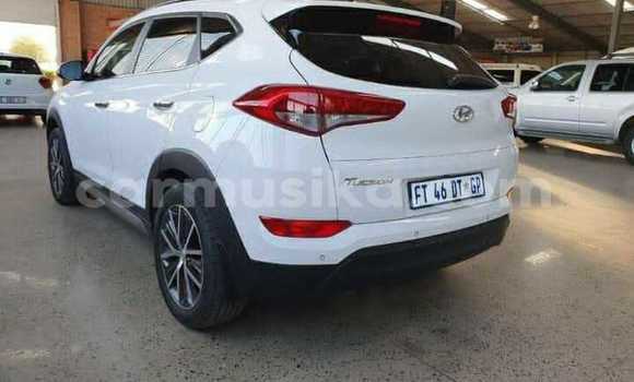 Acheter Occasion Voiture Hyundai Tucson Blanc à Beitbridge, Matabeleland South Acheter Occasion Voiture Hyundai Tucson Blanc à Beitbridge, Matabeleland South