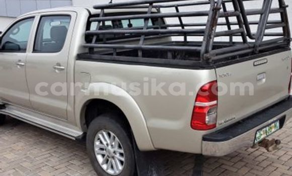 Tenga Tsaru Toyota Hilux Zvimwe Mota in Beitbridge in Matabeleland South Tenga Tsaru Toyota Hilux Zvimwe Mota in Beitbridge in Matabeleland South
