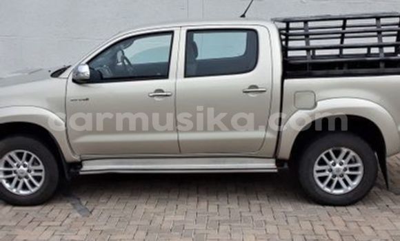 Tenga Tsaru Toyota Hilux Zvimwe Mota in Beitbridge in Matabeleland South Tenga Tsaru Toyota Hilux Zvimwe Mota in Beitbridge in Matabeleland South