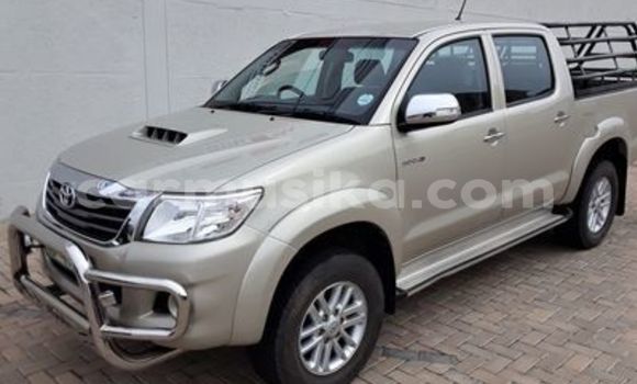 Tenga Tsaru Toyota Hilux Zvimwe Mota in Beitbridge in Matabeleland South Tenga Tsaru Toyota Hilux Zvimwe Mota in Beitbridge in Matabeleland South