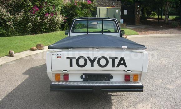 Tenga Tsaru Toyota Hilux Chena Mota in Beitbridge in Matabeleland South Tenga Tsaru Toyota Hilux Chena Mota in Beitbridge in Matabeleland South