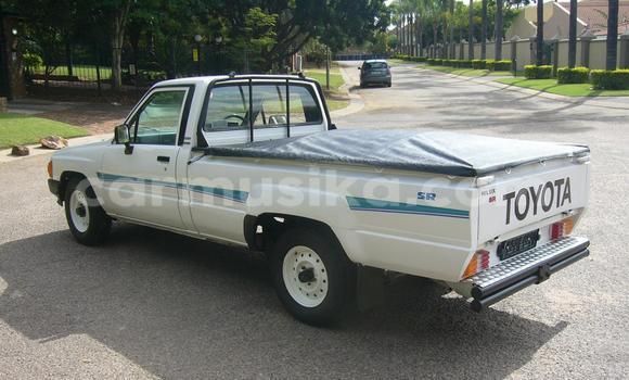 Tenga Tsaru Toyota Hilux Chena Mota in Beitbridge in Matabeleland South Tenga Tsaru Toyota Hilux Chena Mota in Beitbridge in Matabeleland South