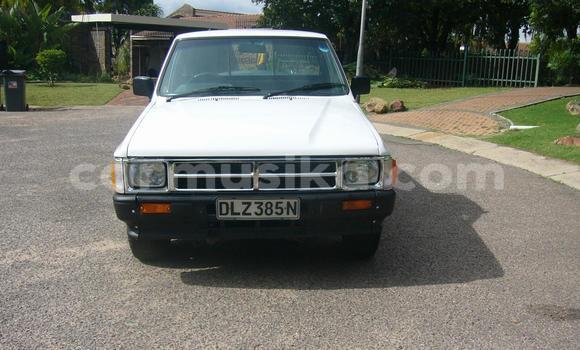 Tenga Tsaru Toyota Hilux Chena Mota in Beitbridge in Matabeleland South Tenga Tsaru Toyota Hilux Chena Mota in Beitbridge in Matabeleland South