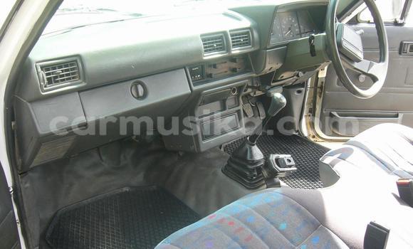 Tenga Tsaru Toyota Hilux Chena Mota in Beitbridge in Matabeleland South Tenga Tsaru Toyota Hilux Chena Mota in Beitbridge in Matabeleland South