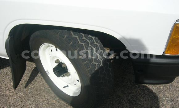 Tenga Tsaru Toyota Hilux Chena Mota in Beitbridge in Matabeleland South Tenga Tsaru Toyota Hilux Chena Mota in Beitbridge in Matabeleland South