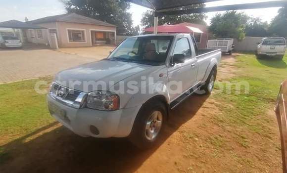 Acheter Occasion Voiture Nissan NP 300 Blanc à Beitbridge, Matabeleland South Acheter Occasion Voiture Nissan NP 300 Blanc à Beitbridge, Matabeleland South