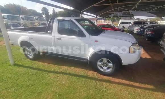 Acheter Occasion Voiture Nissan NP 300 Blanc à Beitbridge, Matabeleland South Acheter Occasion Voiture Nissan NP 300 Blanc à Beitbridge, Matabeleland South