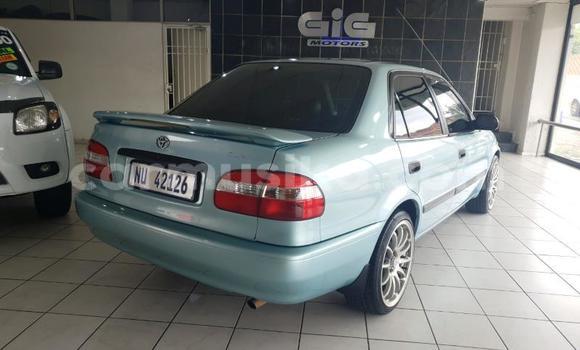 Buy Used Toyota Corolla Blue Car in Beitbridge in Matabeleland South Buy Used Toyota Corolla Blue Car in Beitbridge in Matabeleland South
