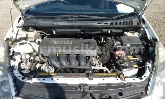 Tenga Tsaru Wiesmann GT Chena Mota in Beitbridge in Matabeleland South