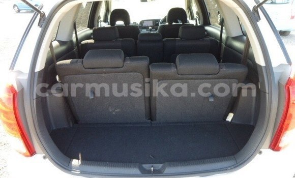 Tenga Tsaru Wiesmann GT Chena Mota in Beitbridge in Matabeleland South Tenga Tsaru Wiesmann GT Chena Mota in Beitbridge in Matabeleland South