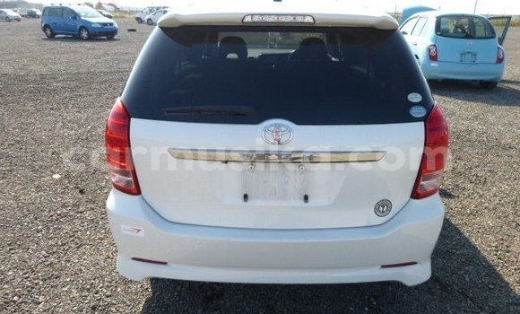 Tenga Tsaru Wiesmann GT Chena Mota in Beitbridge in Matabeleland South Tenga Tsaru Wiesmann GT Chena Mota in Beitbridge in Matabeleland South