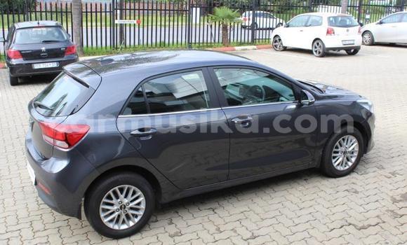 Buy Used Kia Cerato Brown Car in Beitbridge in Matabeleland South