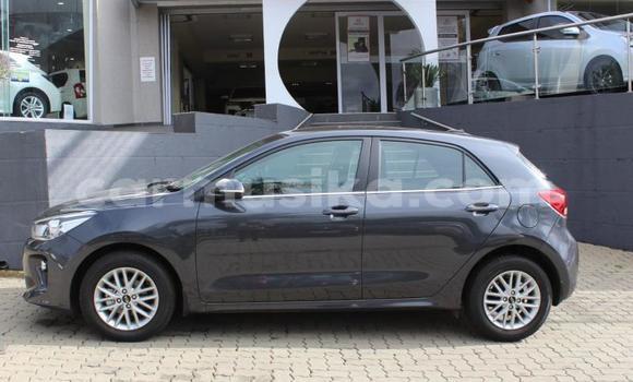 Buy Used Kia Cerato Brown Car in Beitbridge in Matabeleland South Buy Used Kia Cerato Brown Car in Beitbridge in Matabeleland South