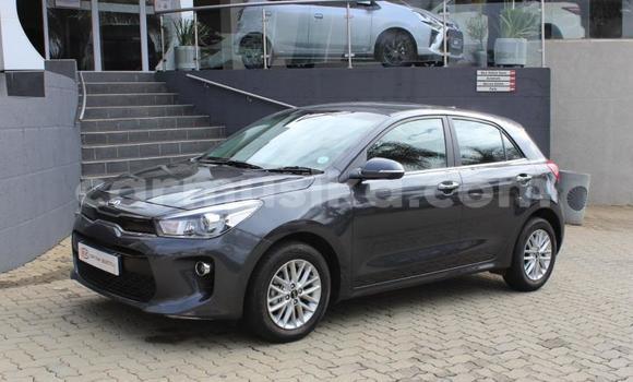 Buy Used Kia Cerato Brown Car in Beitbridge in Matabeleland South Buy Used Kia Cerato Brown Car in Beitbridge in Matabeleland South