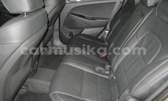 Nunua Ilio tumika Hyundai Tucson Fedha Gari ndani ya Beitbridge nchini Matabeleland Kusini Nunua Ilio tumika Hyundai Tucson Fedha Gari ndani ya Beitbridge nchini Matabeleland Kusini