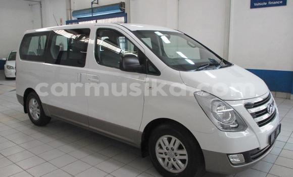 Buy Used Hyundai H1 White Car in Beitbridge in Matabeleland South