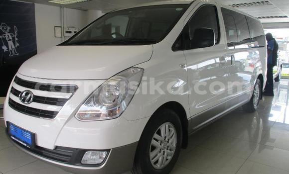Buy Used Hyundai H1 White Car in Beitbridge in Matabeleland South Buy Used Hyundai H1 White Car in Beitbridge in Matabeleland South