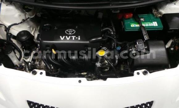 Tenga Tsaru Toyota Yaris Chena Mota in Beitbridge in Matabeleland South Tenga Tsaru Toyota Yaris Chena Mota in Beitbridge in Matabeleland South