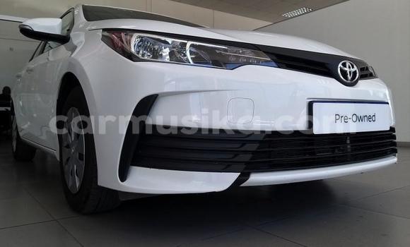Buy Used Toyota Corolla White Car in Beitbridge in Matabeleland South