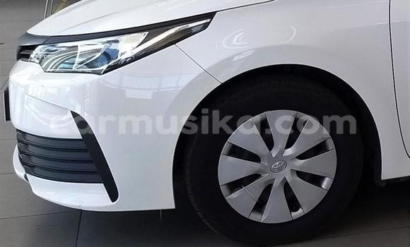 Tenga Tsaru Toyota Corolla Chena Mota in Beitbridge in Matabeleland South Tenga Tsaru Toyota Corolla Chena Mota in Beitbridge in Matabeleland South