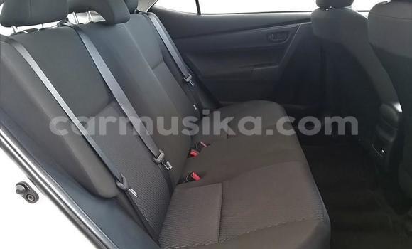 Tenga Tsaru Toyota Corolla Chena Mota in Beitbridge in Matabeleland South Tenga Tsaru Toyota Corolla Chena Mota in Beitbridge in Matabeleland South