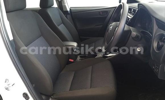 Tenga Tsaru Toyota Corolla Chena Mota in Beitbridge in Matabeleland South Tenga Tsaru Toyota Corolla Chena Mota in Beitbridge in Matabeleland South