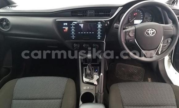 Tenga Tsaru Toyota Corolla Chena Mota in Beitbridge in Matabeleland South Tenga Tsaru Toyota Corolla Chena Mota in Beitbridge in Matabeleland South