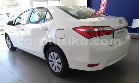 Tenga Tsaru Toyota Corolla Chena Mota in Beitbridge in Matabeleland South Tenga Tsaru Toyota Corolla Chena Mota in Beitbridge in Matabeleland South