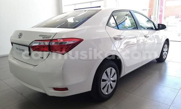 Tenga Tsaru Toyota Corolla Chena Mota in Beitbridge in Matabeleland South Tenga Tsaru Toyota Corolla Chena Mota in Beitbridge in Matabeleland South