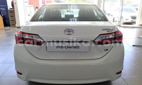 Tenga Tsaru Toyota Corolla Chena Mota in Beitbridge in Matabeleland South Tenga Tsaru Toyota Corolla Chena Mota in Beitbridge in Matabeleland South