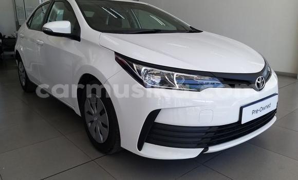 Tenga Tsaru Toyota Corolla Chena Mota in Beitbridge in Matabeleland South Tenga Tsaru Toyota Corolla Chena Mota in Beitbridge in Matabeleland South