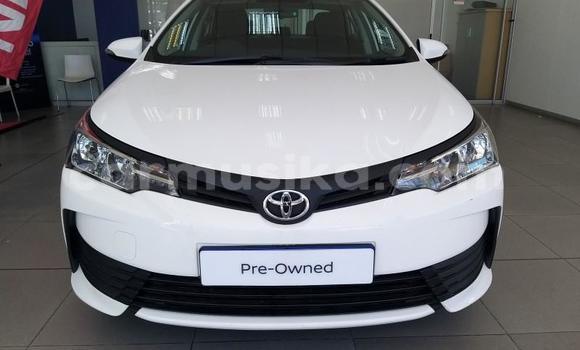 Tenga Tsaru Toyota Corolla Chena Mota in Beitbridge in Matabeleland South Tenga Tsaru Toyota Corolla Chena Mota in Beitbridge in Matabeleland South