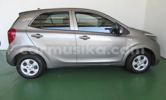 Tenga Tsaru Kia Picanto Sirivha Mota in Beitbridge in Matabeleland South