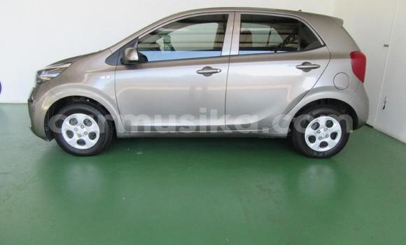 Acheter Occasion Voiture Kia Picanto Gris à Beitbridge, Matabeleland South Acheter Occasion Voiture Kia Picanto Gris à Beitbridge, Matabeleland South