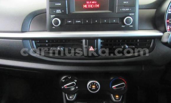 Acheter Occasion Voiture Kia Picanto Gris à Beitbridge, Matabeleland South Acheter Occasion Voiture Kia Picanto Gris à Beitbridge, Matabeleland South