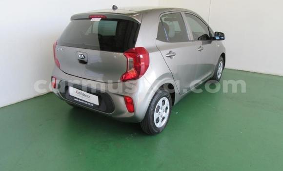 Acheter Occasion Voiture Kia Picanto Gris à Beitbridge, Matabeleland South Acheter Occasion Voiture Kia Picanto Gris à Beitbridge, Matabeleland South