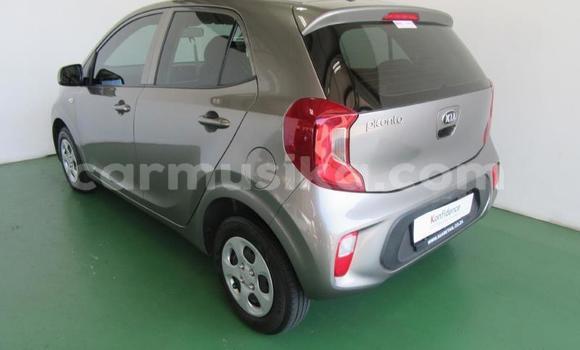 Acheter Occasion Voiture Kia Picanto Gris à Beitbridge, Matabeleland South Acheter Occasion Voiture Kia Picanto Gris à Beitbridge, Matabeleland South