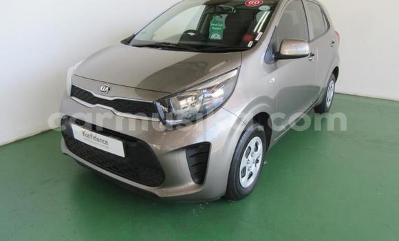 Acheter Occasion Voiture Kia Picanto Gris à Beitbridge, Matabeleland South Acheter Occasion Voiture Kia Picanto Gris à Beitbridge, Matabeleland South