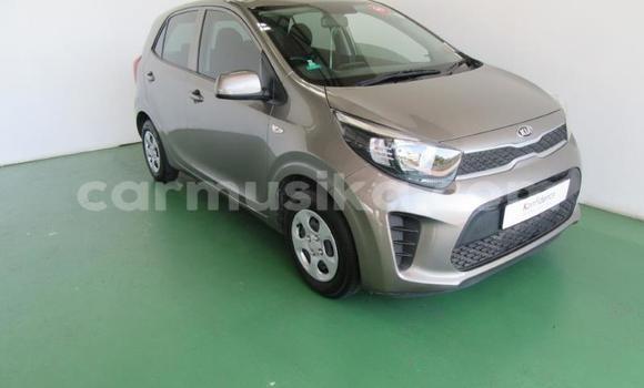 Acheter Occasion Voiture Kia Picanto Gris à Beitbridge, Matabeleland South Acheter Occasion Voiture Kia Picanto Gris à Beitbridge, Matabeleland South