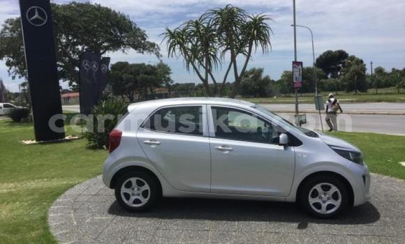 Buy Used Kia Picanto Silver Car in Beitbridge in Matabeleland South
