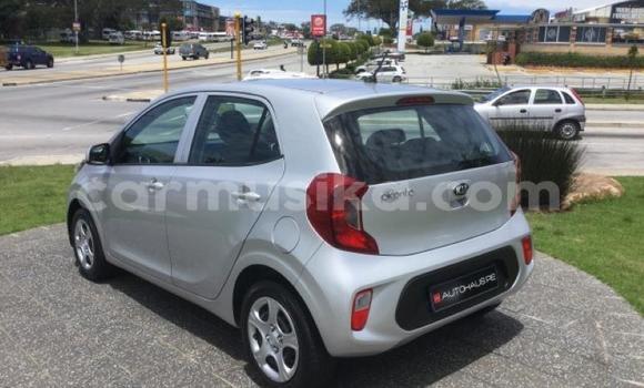 Acheter Occasion Voiture Kia Picanto Gris à Beitbridge, Matabeleland South Acheter Occasion Voiture Kia Picanto Gris à Beitbridge, Matabeleland South