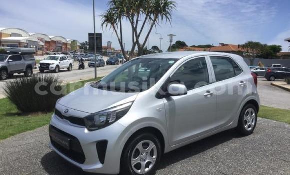 Acheter Occasion Voiture Kia Picanto Gris à Beitbridge, Matabeleland South Acheter Occasion Voiture Kia Picanto Gris à Beitbridge, Matabeleland South