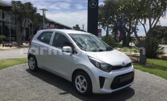 Acheter Occasion Voiture Kia Picanto Gris à Beitbridge, Matabeleland South Acheter Occasion Voiture Kia Picanto Gris à Beitbridge, Matabeleland South