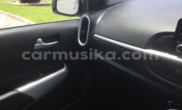 Acheter Occasion Voiture Kia Picanto Gris à Beitbridge, Matabeleland South Acheter Occasion Voiture Kia Picanto Gris à Beitbridge, Matabeleland South