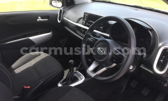 Acheter Occasion Voiture Kia Picanto Gris à Beitbridge, Matabeleland South Acheter Occasion Voiture Kia Picanto Gris à Beitbridge, Matabeleland South