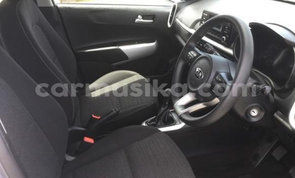 Acheter Occasion Voiture Kia Picanto Gris à Beitbridge, Matabeleland South Acheter Occasion Voiture Kia Picanto Gris à Beitbridge, Matabeleland South