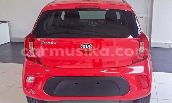 Tenga Tsaru Kia Picanto Chena Mota in Beitbridge in Matabeleland South